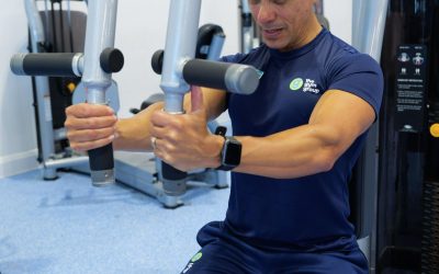 Understanding Muscle Groups