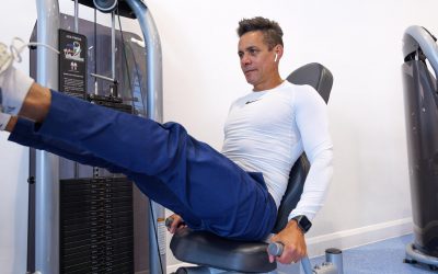 Major Muscle Groups